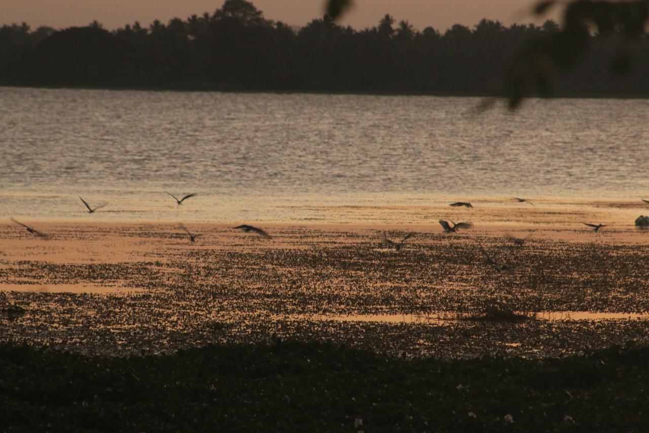 Foresta Yala lake view